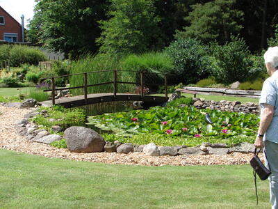 Bild vergrößern: In der Mitte des Fotos befindet sich ein Gartenteich mit Seerosen, über den sich eine kleine Holzbrücke spannt. Um den Gartenteich ist nach einer kleinen Kiesfläche Rasen zu sehen.