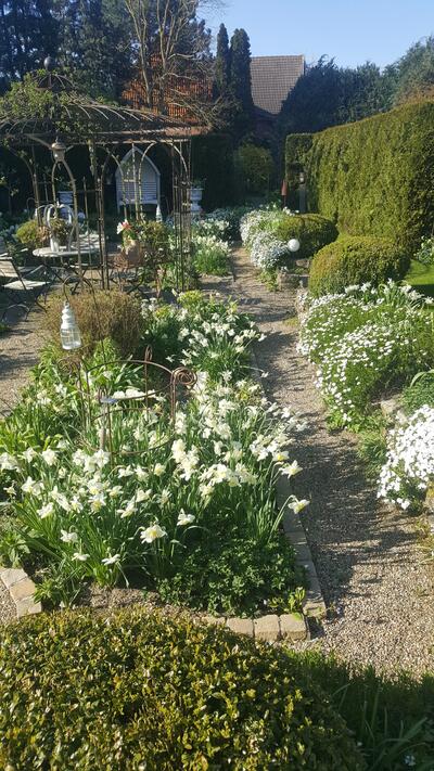 Bild vergrößern: Garten der Familie Hantelmann in Mnstedt