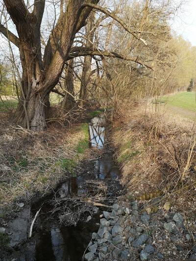Bild vergrößern: Fuhsekanal