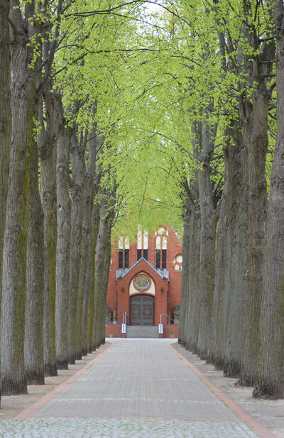 Bild vergrößern: Blick durch eine Baumallee, an deren Ende eine aus rotem Backstein gemauerte Friedhofskapelle zu sehen ist.