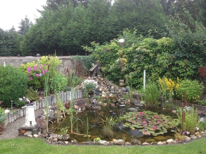 Das Foto zeigt mittig einen Gartenteich mit Seeroesen, umgeben von Gräsern und Büschen.