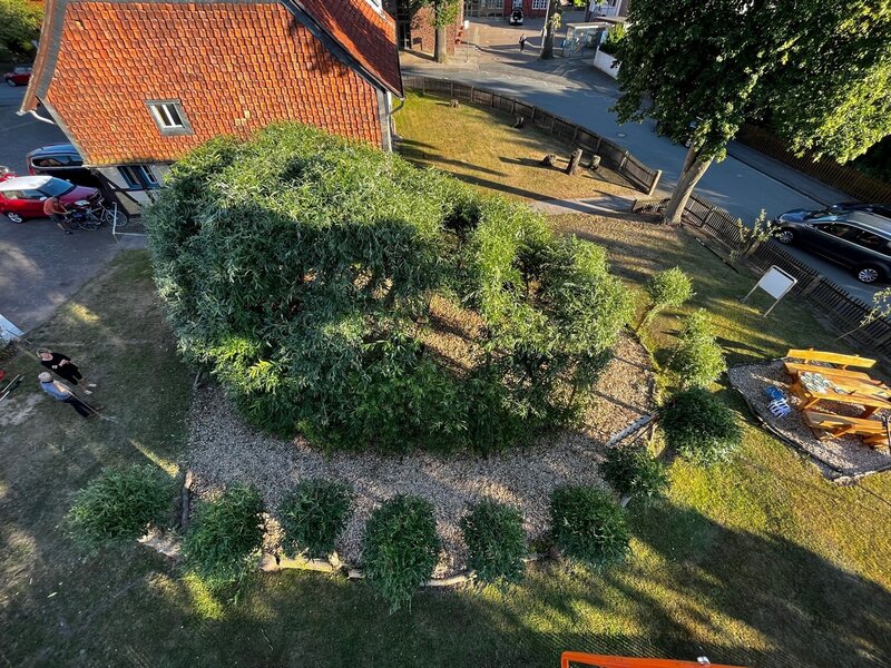 Das Luftbild zeigt die Weidenkirche aus größerer Höhe, umgeben von Grün. Im Norden ist der Teil eines roten Hauses zu erkennen. 