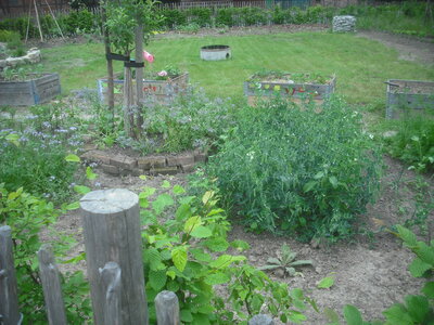 Bild vergr&ouml;&szlig;ern: Ein gr�ner Garten mit einem kleinen Hochbeet.