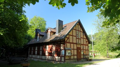 Bild vergr&ouml;&szlig;ern: Auf einer Waldlichtung steht ein altes Fachwerkhaus.