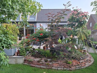 Bild vergr&ouml;&szlig;ern: Hinter einem Beet mit gepflasteter Umrandung ist die Terrasse eines wei�en Hauses zu sehen.