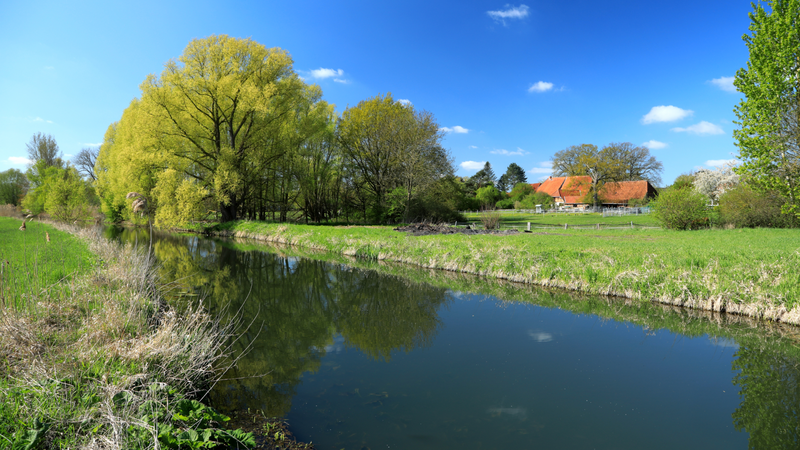 Das Foto zeigt einen Flu&szlig;lauf, umgeben von gr&uuml;nen Wiesen und einigen B&auml;umen im Hintergrund.