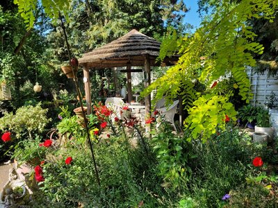 Bild vergr&ouml;&szlig;ern: Blick in einen �ppig bl�henden Garten.