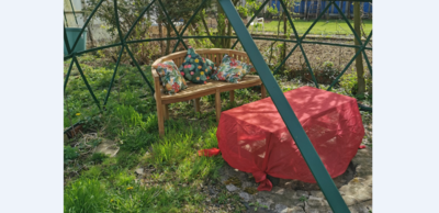 Bild vergr&ouml;&szlig;ern: Eine Holzbank mit bunten Kissen steht auf einer Rasenfl�che.